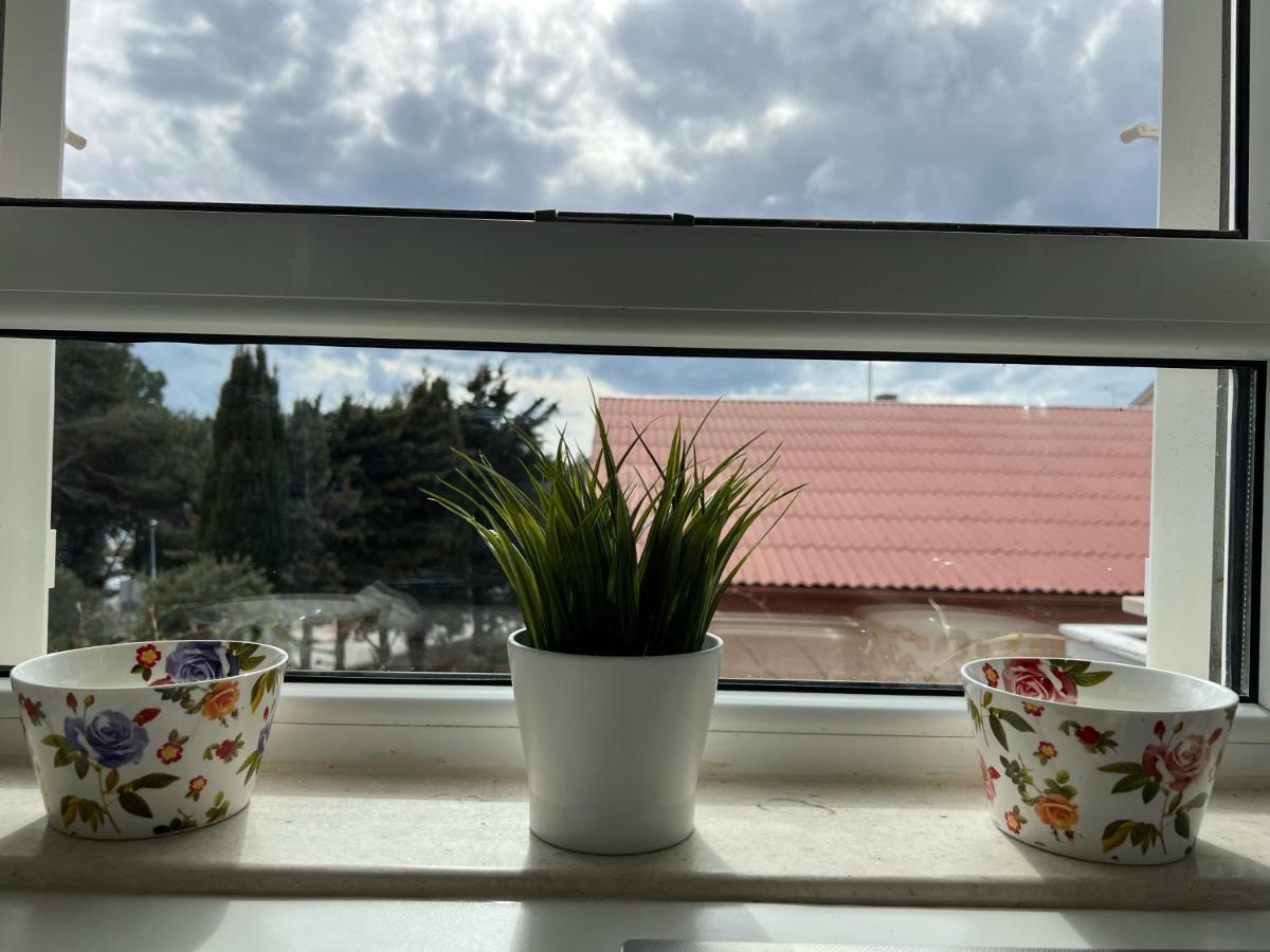 Apartmani Pernjak マンドレ エクステリア 写真